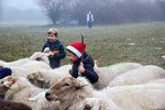 Herdertjesdag bij De Wereldboom