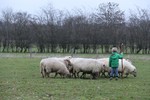 De Wereldboom: Herdertjesdag!